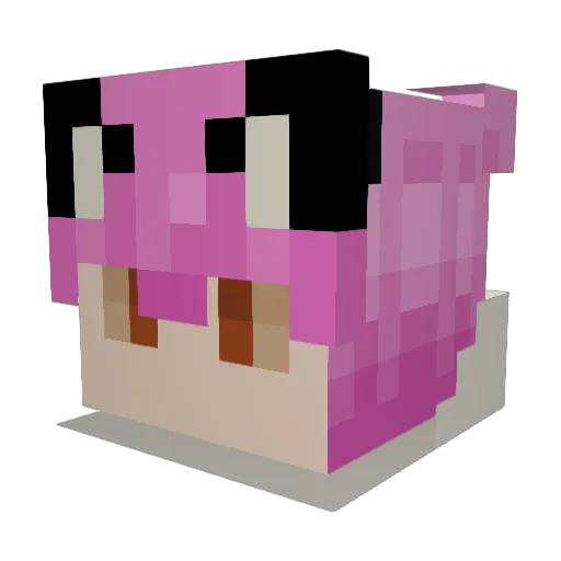 0_____Nate_____0 Minecraft avatar head, 3D render
