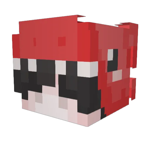 0_husk_0 Minecraft avatar head, 3D render