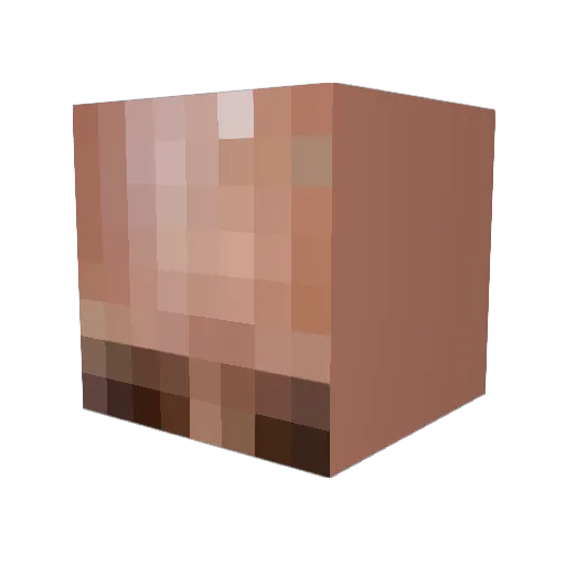 0_ryen Minecraft avatar head, 3D render