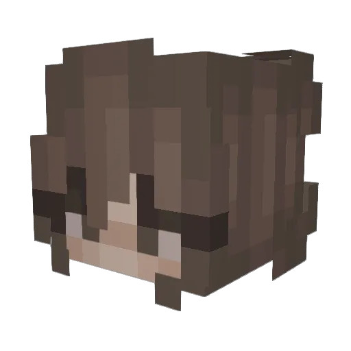 0_zqxx Minecraft avatar head, 3D render