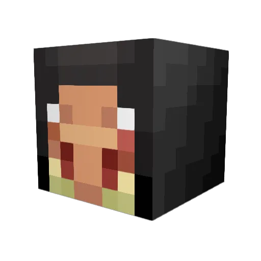 0b1100110 Minecraft avatar head, 3D render