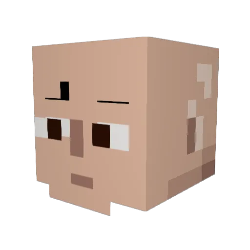 0b11111010011 Minecraft avatar head, 3D render