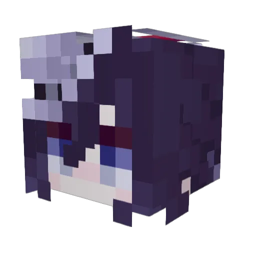 0bservat10n Minecraft avatar head, 3D render