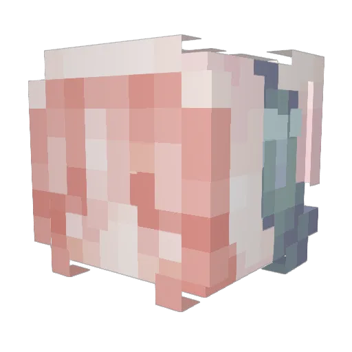 0bunny_jump Minecraft avatar head, 3D render