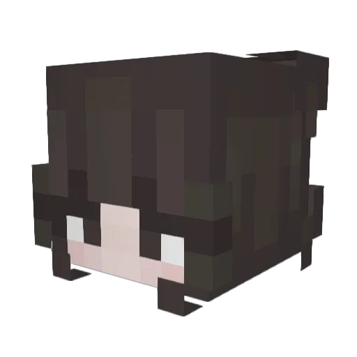 0c3lotz Minecraft avatar head, 3D render