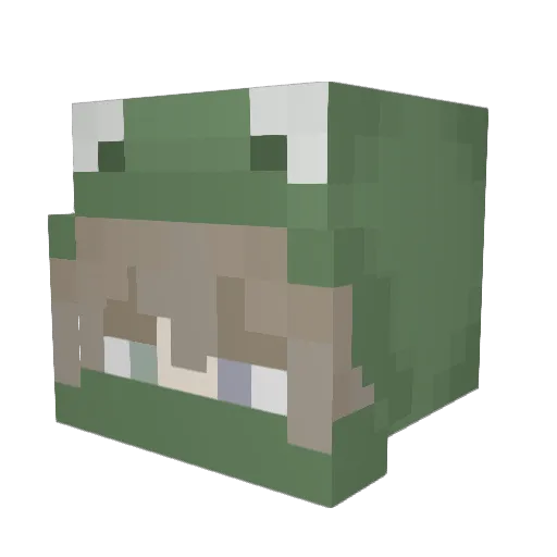 0cean1 Minecraft avatar head, 3D render