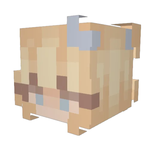0ceanmann17 Minecraft avatar head, 3D render