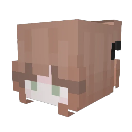 0ead Minecraft avatar head, 3D render