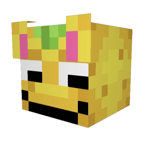 0feeling9 Minecraft avatar head, 3D render