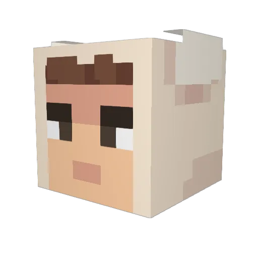 0fees Minecraft avatar head, 3D render