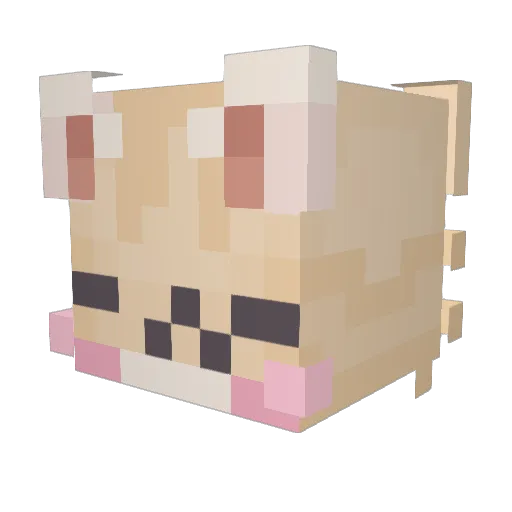 0fei Minecraft avatar head, 3D render