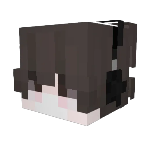 0hBenji Minecraft avatar head, 3D render