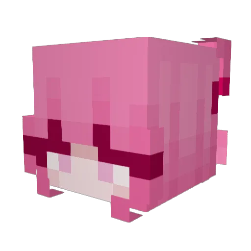 0hBriix Minecraft avatar head, 3D render