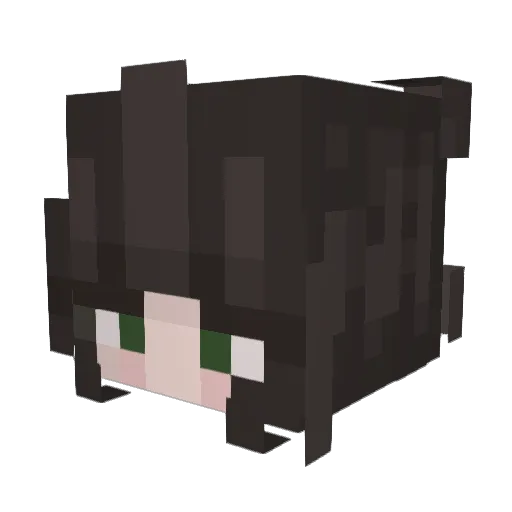 0hMerry Minecraft avatar head, 3D render