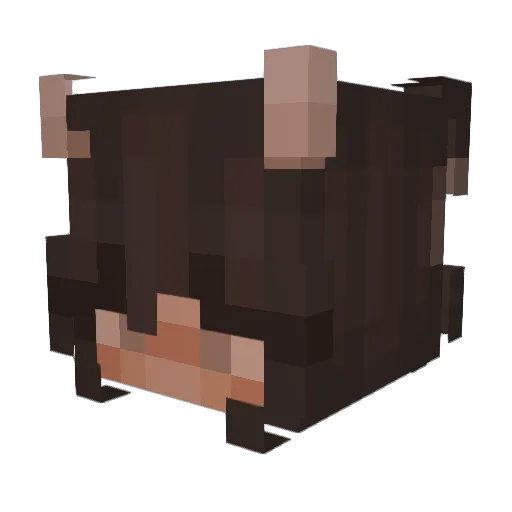 0halis Minecraft avatar head, 3D render
