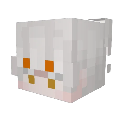 0hallowers Minecraft avatar head, 3D render