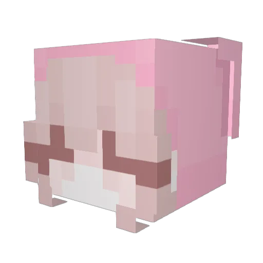 0hcae Minecraft avatar head, 3D render