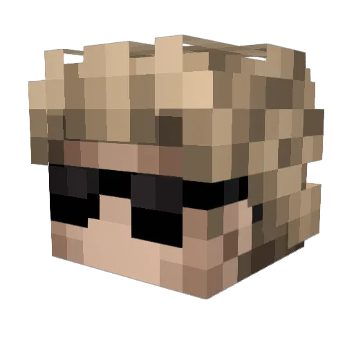 0hy0 Minecraft avatar head, 3D render