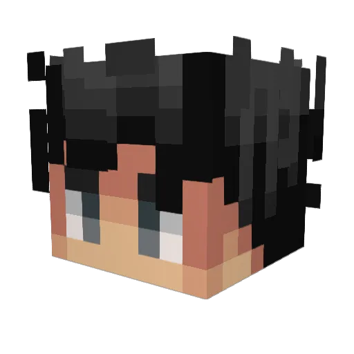 0hz_ Minecraft avatar head, 3D render