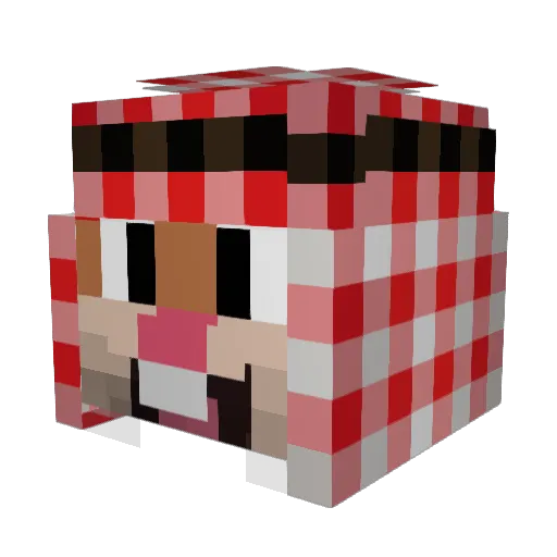 0ir0_ Minecraft avatar head, 3D render