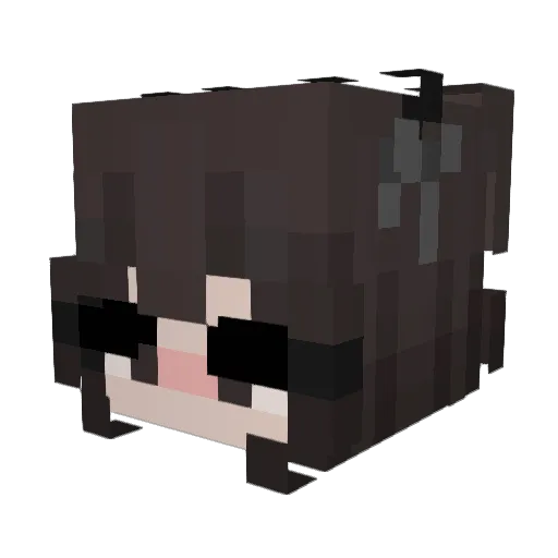 0isanotfound Minecraft avatar head, 3D render