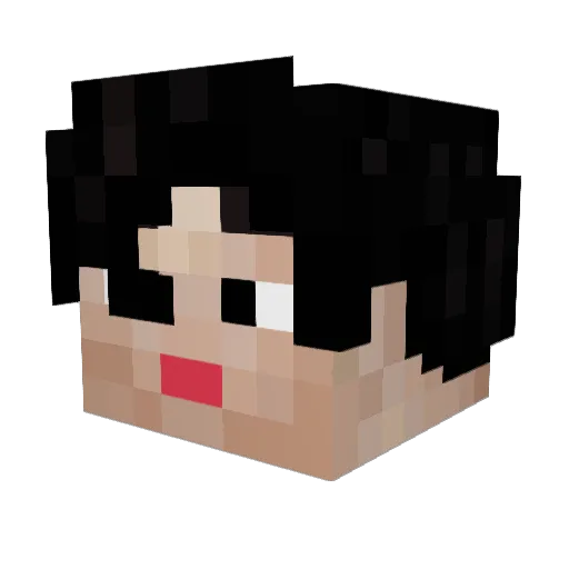 0ja_2 Minecraft avatar head, 3D render