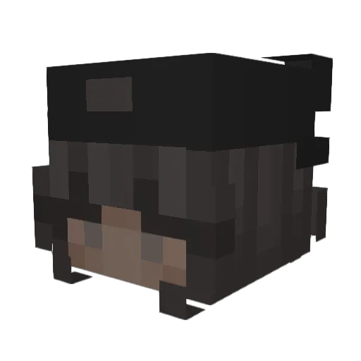 0kamcia Minecraft avatar head, 3D render