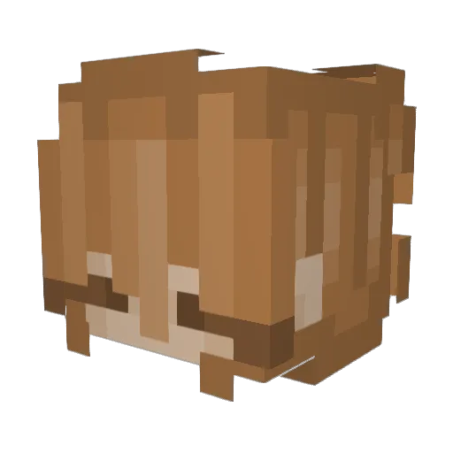 0ktawia07 Minecraft avatar head, 3D render