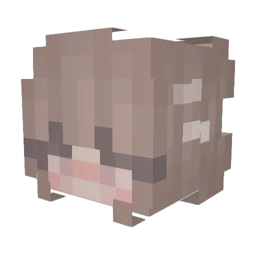 0lUiSa0 Minecraft avatar head, 3D render