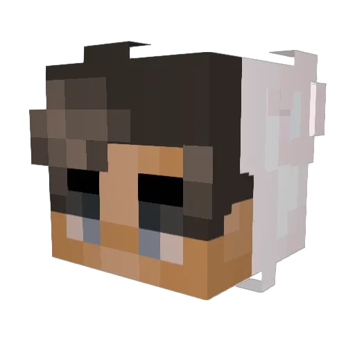 0lZn Minecraft avatar head, 3D render