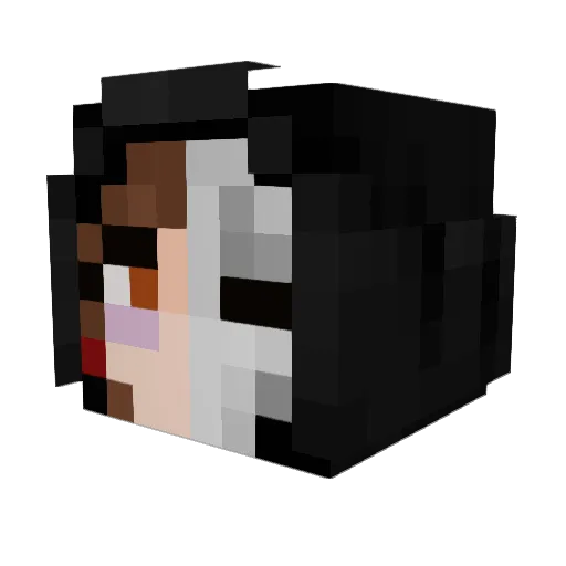 0lliefox Minecraft avatar head, 3D render