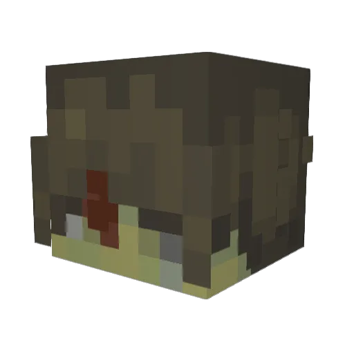 0mclovin Minecraft avatar head, 3D render