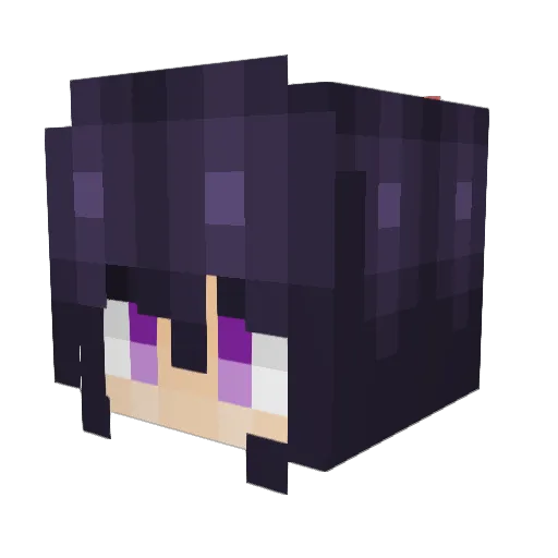 0meatpie0 Minecraft avatar head, 3D render