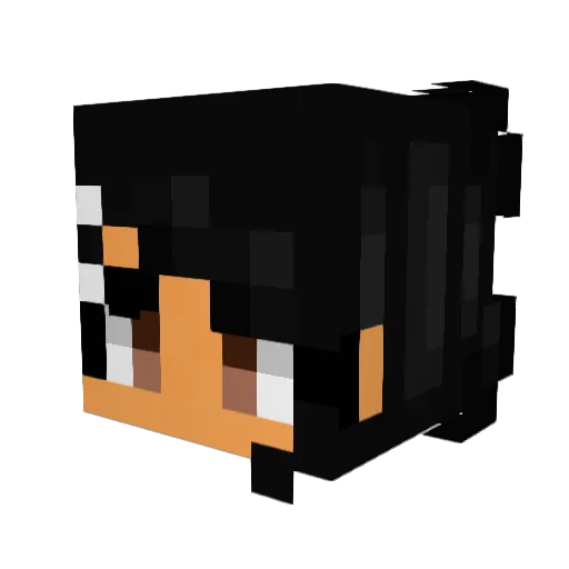 0mega_c0re Minecraft avatar head, 3D render