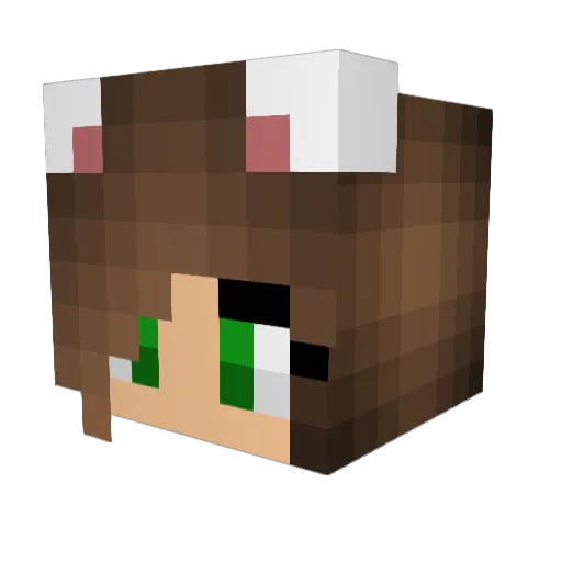 0missblue0 Minecraft avatar head, 3D render