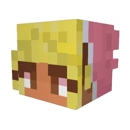 0n0od1e Minecraft avatar head, 3D render