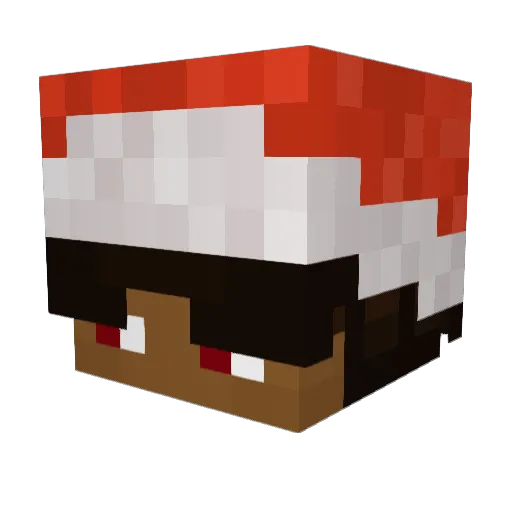0nD2ddy Minecraft avatar head, 3D render
