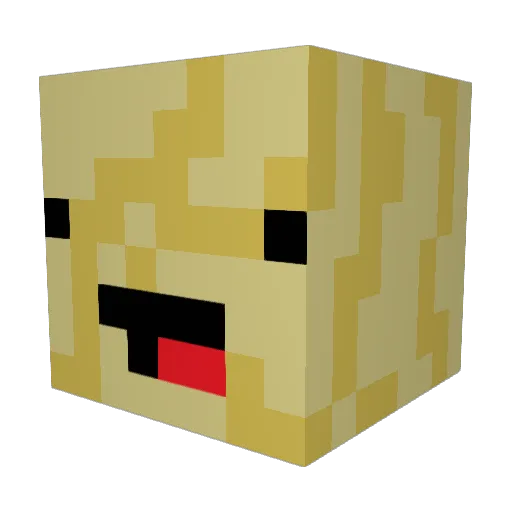 0ni0n5 Minecraft avatar head, 3D render
