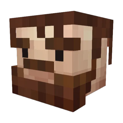 0nly24 Minecraft avatar head, 3D render