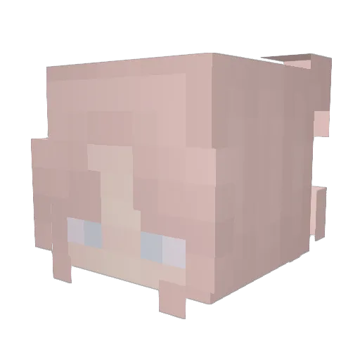 0nlyNati Minecraft avatar head, 3D render