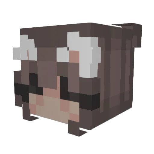0nlyray1 Minecraft avatar head, 3D render