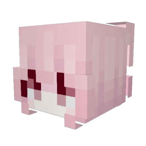 0o0oo00o Minecraft avatar head, 3D render