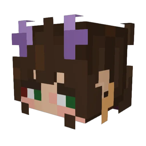 0o3astro0 Minecraft avatar head, 3D render