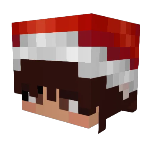 0oBobcato0 Minecraft avatar head, 3D render