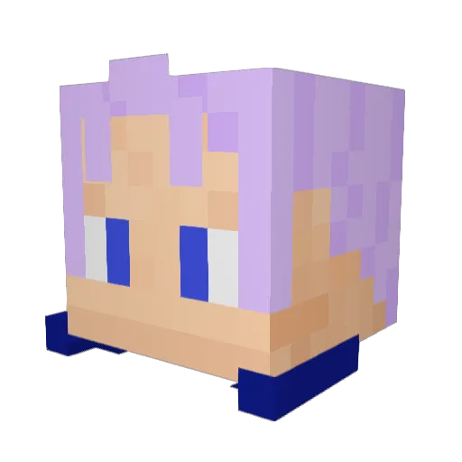 0oTrunkso0 Minecraft avatar head, 3D render