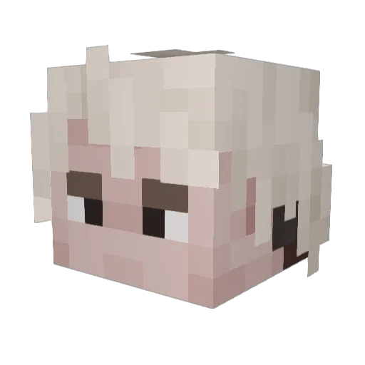 0oo000 Minecraft avatar head, 3D render