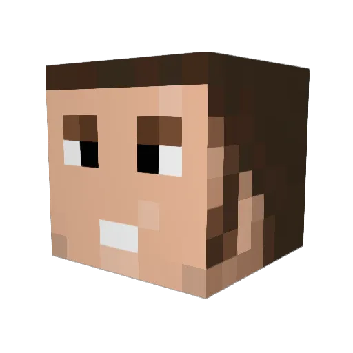 0oo0ooo0o0o0 Minecraft avatar head, 3D render