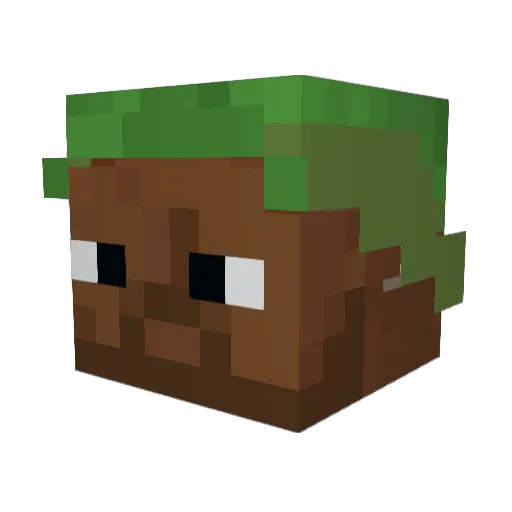 0p3o3 Minecraft avatar head, 3D render