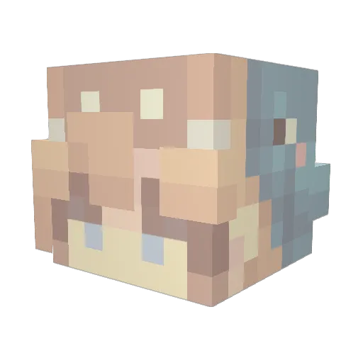 0pals_on_top Minecraft avatar head, 3D render
