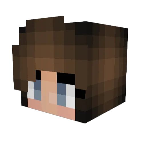 0panic0 Minecraft avatar head, 3D render